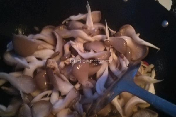 清炒平菇的做法图解4