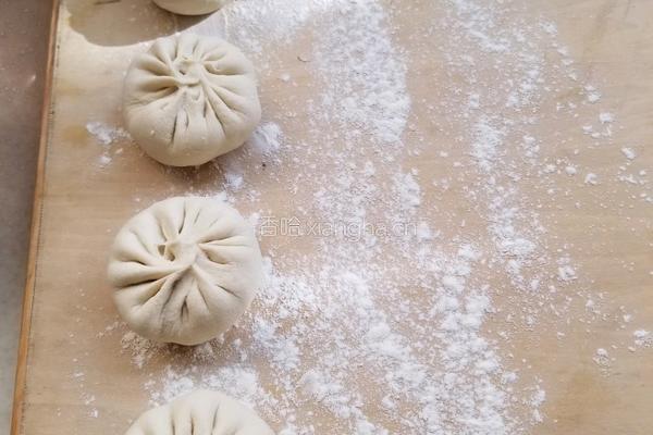猪肉萝卜馅包子的做法图解6