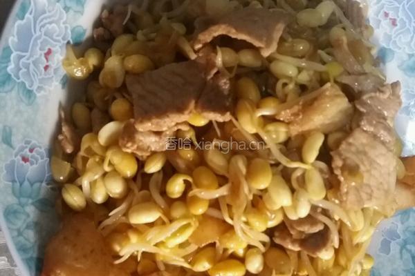 猪肉炒黄豆芽的做法图解7