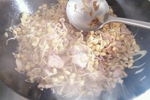 猪肉炒黄豆芽的做法图解6