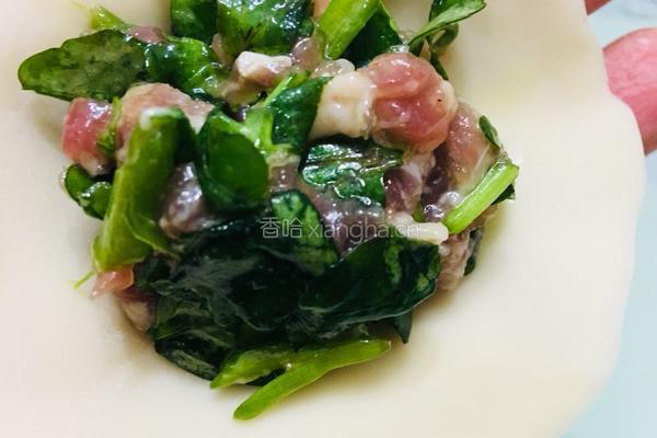 西洋菜猪肉饺的做法图解7
