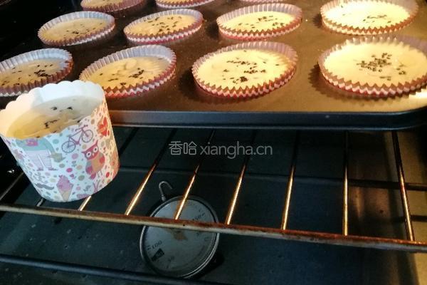 海绵小蛋糕（全蛋版）的做法图解12