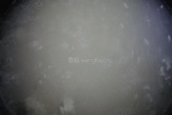 酒酿桂花小丸子的做法图解4