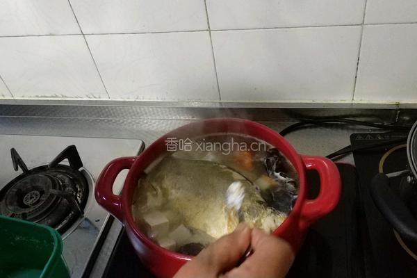 砂锅鱼炖豆腐的做法图解8