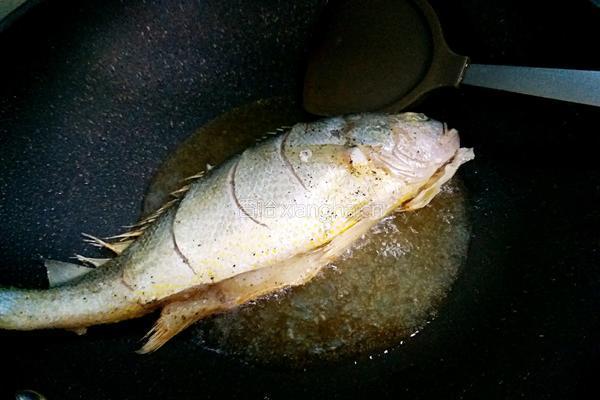 酱烧黄鱼豆腐的做法图解8