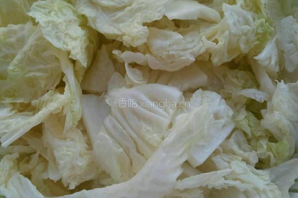 白菜冻豆腐炖粉条的做法图解4