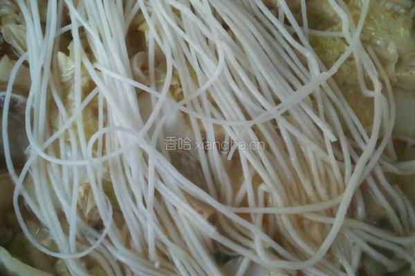 白菜冻豆腐炖粉条的做法图解15