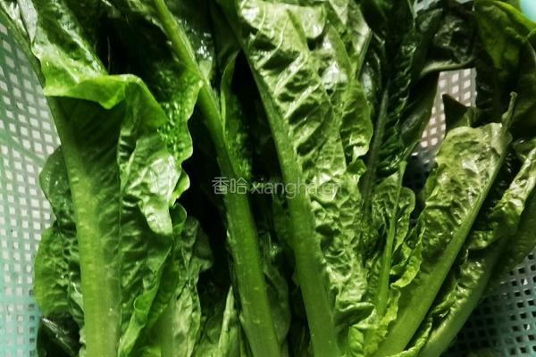 炒凤尾的做法图解1