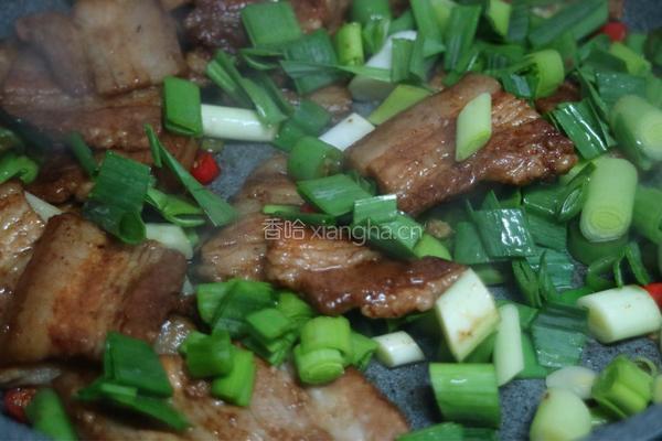 特色小炒肉的做法图解10