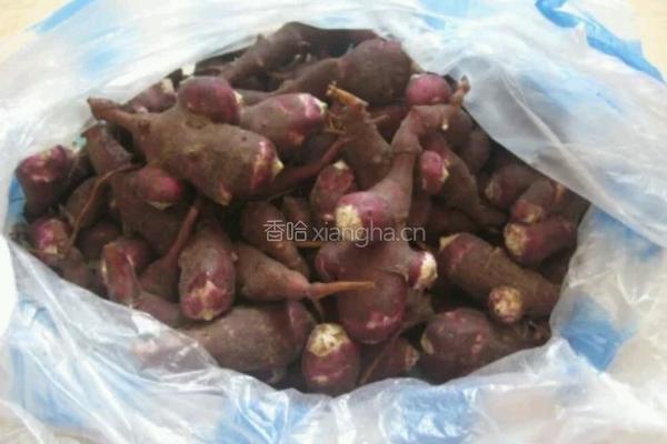 酸辣洋姜的做法图解1