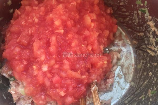 西红柿鲜肉馄饨的做法图解5