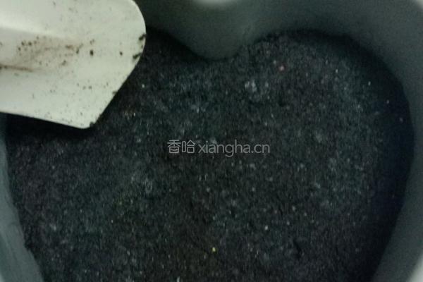 奶油奶酪(芝士)蛋糕的做法图解3