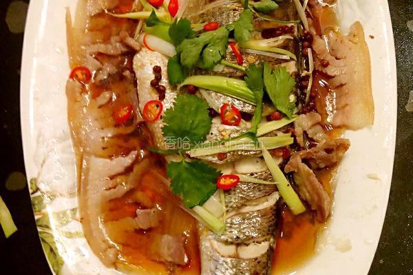 鲁菜大师蒋家菜秘制油泼清蒸鲈鱼的做法图解6