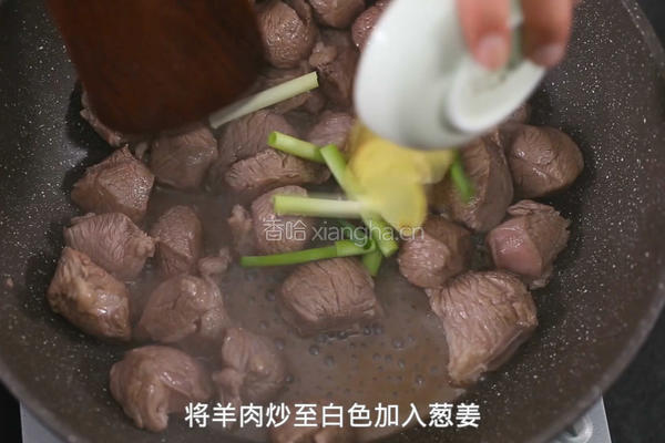 鲜虾羊肉砂锅的做法图解6
