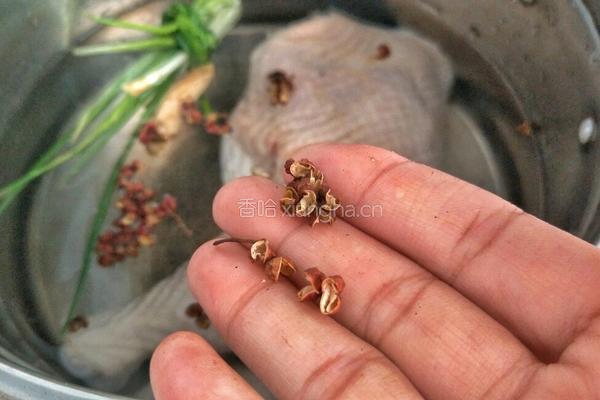 口水鸡的做法图解4
