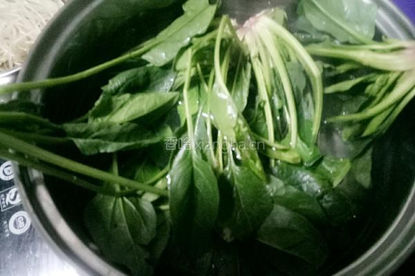 凉拌菠菜粉条黑木耳的做法图解3