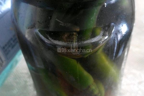 自制泡椒法的做法图解4