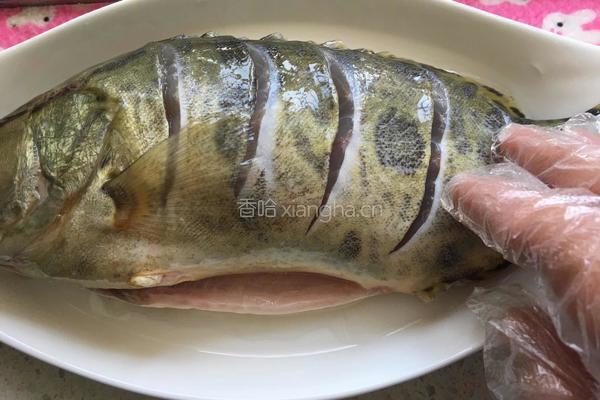 清蒸桂鱼的做法图解3