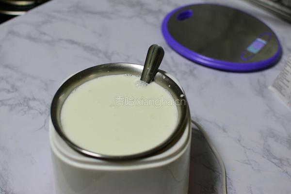 自制酸奶的做法图解5