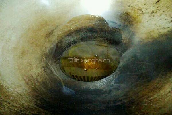 红烧鸡翅根的做法图解12