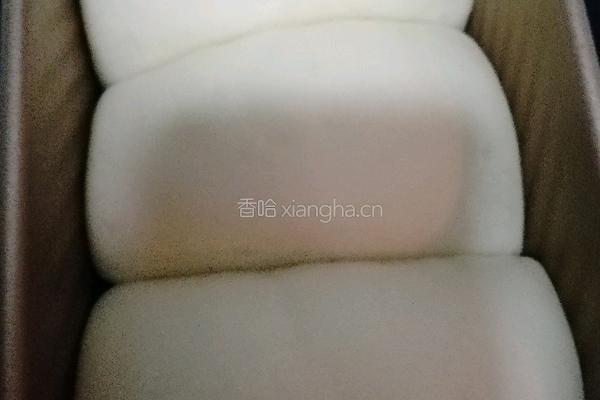 一次发酵牛奶吐司的做法图解15