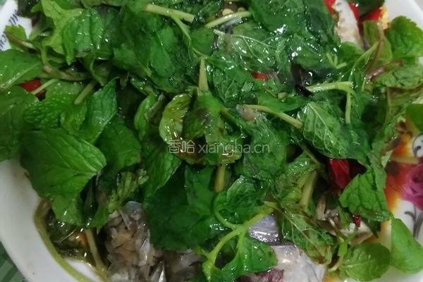 薄荷蒸罗非鱼的做法图解5