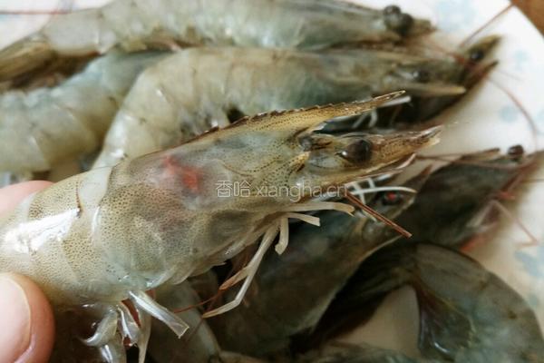 油焖大虾的做法图解2