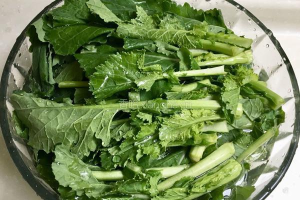爆炒油菜的做法图解2