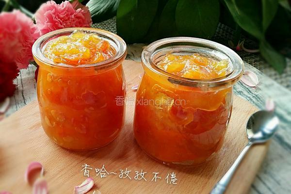 金桔膏的做法图解8
