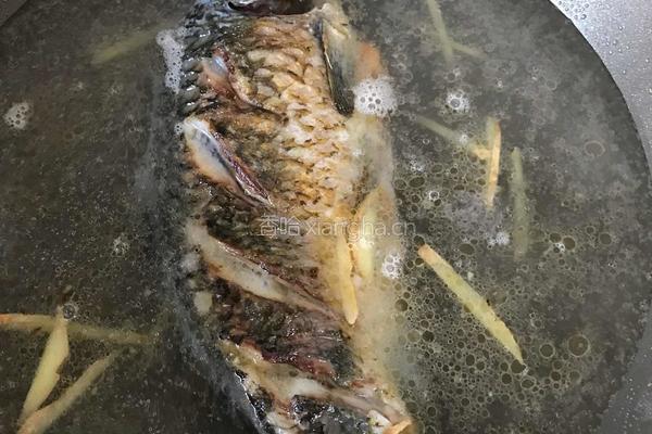 河鲫鱼豆腐汤的做法图解4