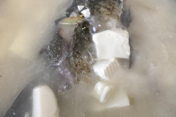 河鲫鱼豆腐汤的做法图解6