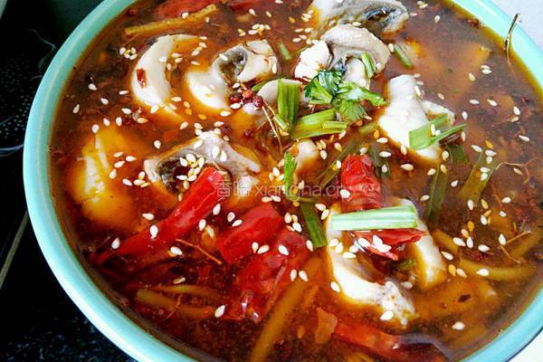 家常水煮鱼的做法图解15