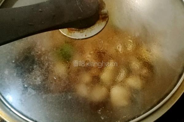 小鸡烧蘑菇的做法图解4