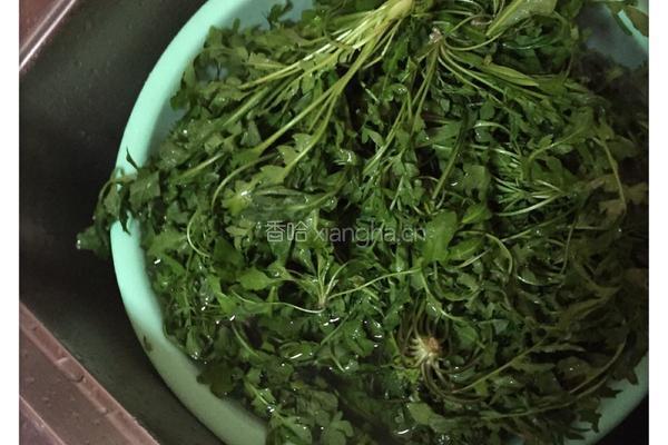 地菜春卷的做法图解1
