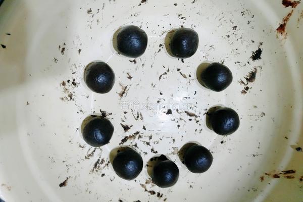 高蛋白健身餐能量丸子(十豆芝麻辟谷素食丸)的做法图解7