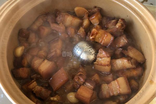 经典红烧肉的做法图解18