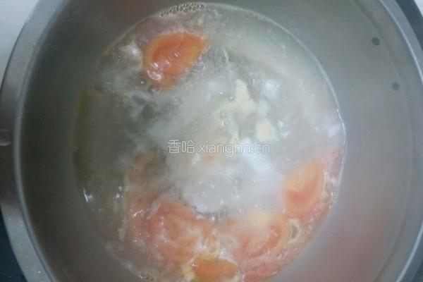 西红柿油麦菜鸡蛋面的做法图解7