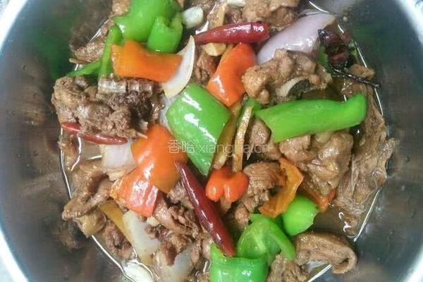 啤酒鸭的做法图解6