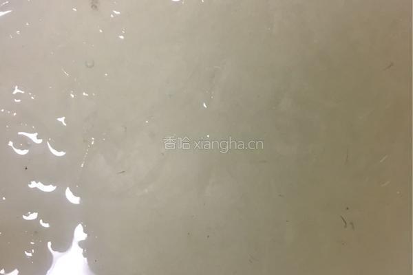 木瓜燕窝的做法图解2