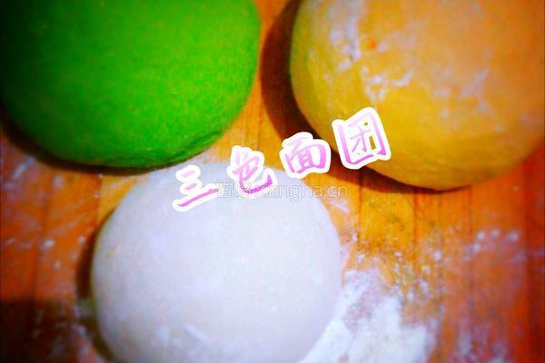 三彩白玉酸菜水饺的做法图解2