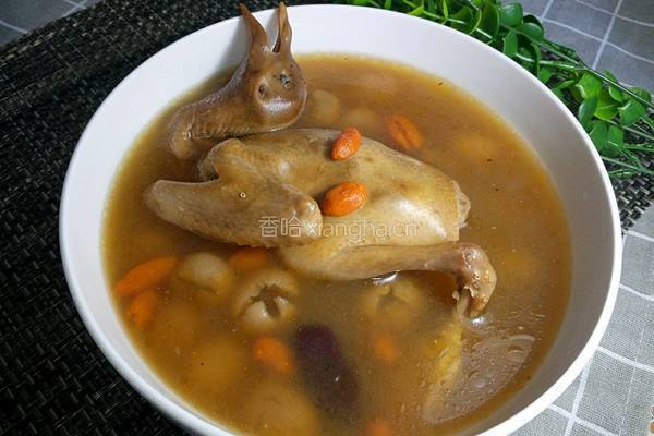 桂圆枸杞鸽子汤的做法图解1