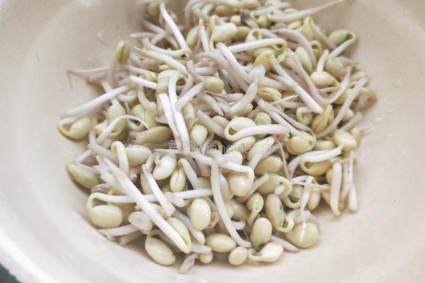 大烩菜的做法图解4