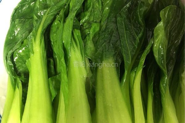 蚝油小白菜的做法图解4
