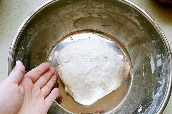 猪肉白菜饺子的做法图解8