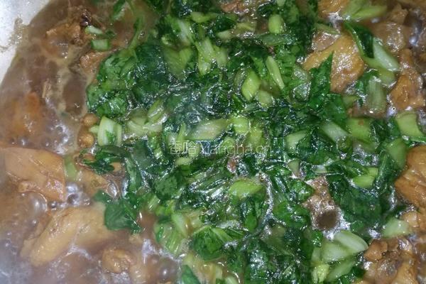 青菜烧鸡的做法图解9