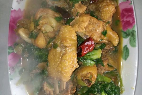 青菜烧鸡的做法图解10