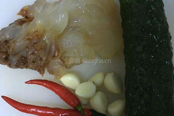 老醋蛰头的做法图解1