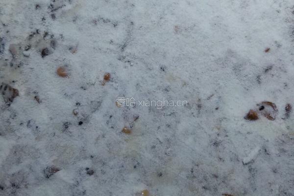 雪花牛轧糖的做法图解6