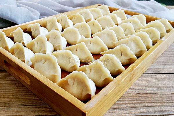 西葫芦木耳馅饺子的做法图解21