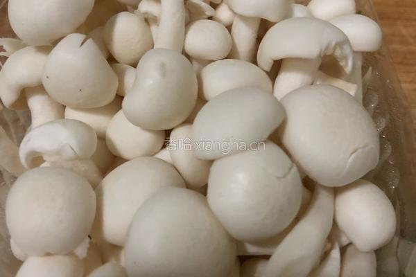 青菜炒蘑菇的做法图解3